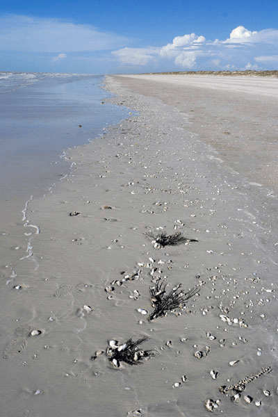 Eighty-Mile-Beach-forever