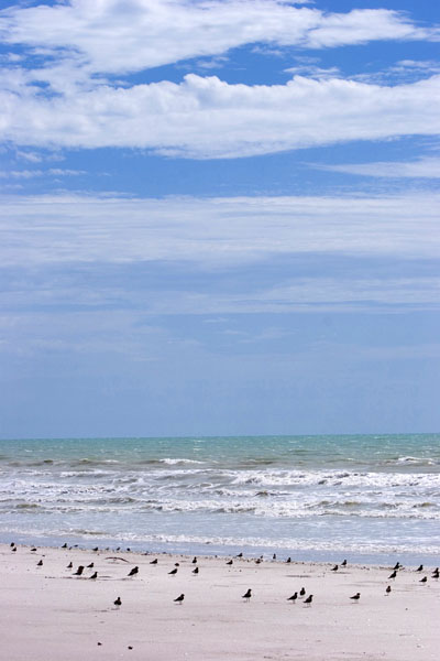 Full-tide-along-Eighty-Mile-Beach