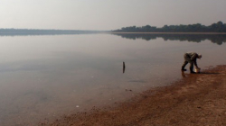 Wetland Surveys