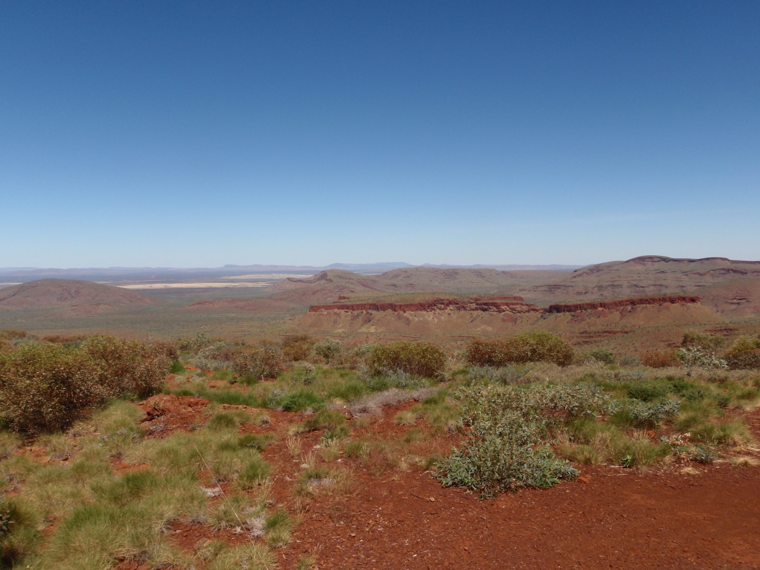 Science-led environmental consulting for complex ecological decisions